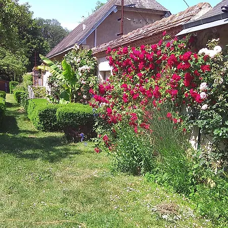 Maison D'Hotes Orchaise Extérieur photo